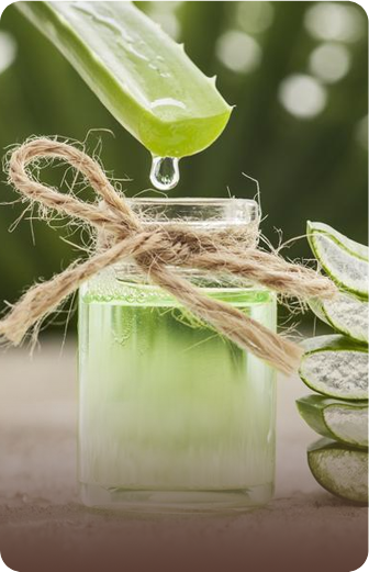 Spa aloe botanical product